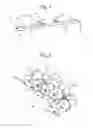 Fig. 02 - Apparatus for singulating products