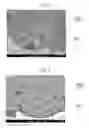 Fig. 03 - SILICON NITRIDE POWDER FOR MOLD RELEASE AGENT OF CASTING MOLD FOR CASTING POLYCRYSTALLINE SILICON INGOT AND METHOD FOR MANUFACTURING SAID SILICON NITRIDE POWDER, SLURRY CONTAINING SAID SILICON NITRIDE POWDER, CASTING MOLD FOR CASTING POLYCRYSTALLINE SILICON INGOT AND METHOD FOR MANUFACTURING SAME, AND METHOD FOR MANUFACTURING POLYCRYSTALLINE SILICON INGOT USING SAID CASTING MOLD