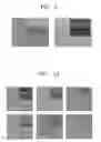 Fig. 08 - Composition for forming film having wrinkle structure and method of forming the film