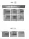 Fig. 09 - Composition for forming film having wrinkle structure and method of forming the film