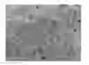 Fig. 01 - Gypsum wallboard slurry and method for making the same