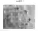 Fig. 03 - Gypsum wallboard slurry and method for making the same