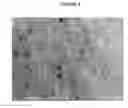 Fig. 04 - Gypsum wallboard slurry and method for making the same