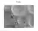 Fig. 05 - Gypsum wallboard slurry and method for making the same