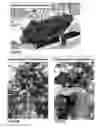 Fig. 08 - PLANT GROWTH MEDIUM