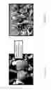 Fig. 36 - Nutrient rich compositions