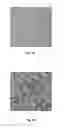 Fig. 07 - Compositions and methods for reducing nitrogen volatilization of urea fertilizers