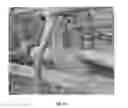 Fig. 08 - Compositions and methods for reducing nitrogen volatilization of urea fertilizers