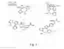 Fig. 05 - Alkynes and methods of reacting alkynes with 1,3-dipole-functional compounds