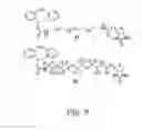 Fig. 10 - Alkynes and methods of reacting alkynes with 1,3-dipole-functional compounds