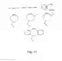 Fig. 15 - Alkynes and methods of reacting alkynes with 1,3-dipole-functional compounds