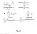Fig. 24 - Alkynes and methods of reacting alkynes with 1,3-dipole-functional compounds