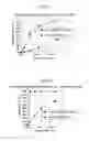 Fig. 04 - Reaction accelerator and method of producing urethane compound, thiourethane compound, amide compound, or urea compound using same