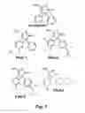 Fig. 02 - Hydantoins that modulate BACE-mediated APP processing