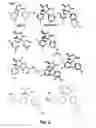Fig. 04 - Hydantoins that modulate BACE-mediated APP processing