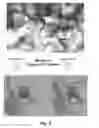 Fig. 05 - Hydantoins that modulate BACE-mediated APP processing