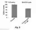Fig. 07 - Hydantoins that modulate BACE-mediated APP processing