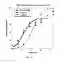 Fig. 02 - Quinazolines as biogenic amine transport modulators
