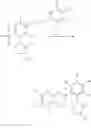 Fig. 06 - Tetrazolinone compound and use thereof