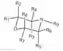 Fig. 01 - Organo-1-oxa-4-azonium cyclohexane compounds