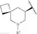 Fig. 1035 - HETEROARYL COMPOUNDS AND USES THEREOF