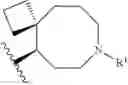 Fig. 1291 - HETEROARYL COMPOUNDS AND USES THEREOF