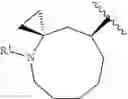 Fig. 1307 - HETEROARYL COMPOUNDS AND USES THEREOF