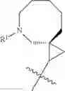 Fig. 233 - HETEROARYL COMPOUNDS AND USES THEREOF