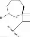 Fig. 241 - HETEROARYL COMPOUNDS AND USES THEREOF
