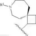 Fig. 244 - HETEROARYL COMPOUNDS AND USES THEREOF