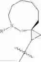 Fig. 285 - HETEROARYL COMPOUNDS AND USES THEREOF