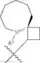 Fig. 291 - HETEROARYL COMPOUNDS AND USES THEREOF