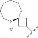 Fig. 292 - HETEROARYL COMPOUNDS AND USES THEREOF