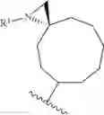 Fig. 351 - HETEROARYL COMPOUNDS AND USES THEREOF