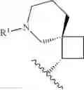 Fig. 443 - HETEROARYL COMPOUNDS AND USES THEREOF
