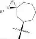 Fig. 482 - HETEROARYL COMPOUNDS AND USES THEREOF