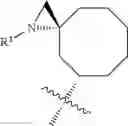 Fig. 587 - HETEROARYL COMPOUNDS AND USES THEREOF