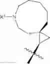 Fig. 604 - HETEROARYL COMPOUNDS AND USES THEREOF