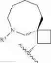 Fig. 619 - HETEROARYL COMPOUNDS AND USES THEREOF