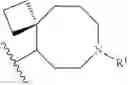 Fig. 912 - HETEROARYL COMPOUNDS AND USES THEREOF