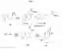 Fig. 08 - Strigolactone formulations and uses thereof