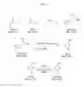 Fig. 11 - Strigolactone formulations and uses thereof