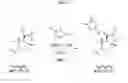 Fig. 12 - Strigolactone formulations and uses thereof