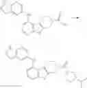 Fig. 161 - SUBSTITUTED PYRAZOLOPYRIDINES