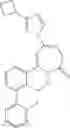 Fig. 155 - Diazepinone derivatives