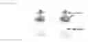 Fig. 05 - F-labelled folates