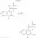 Fig. 217 - Heterocyclic compounds as biogenic amine transport modulators