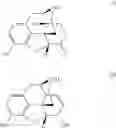 Fig. 02 - Synthesis of noroxymorphone from morphine