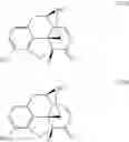 Fig. 04 - Synthesis of noroxymorphone from morphine