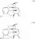 Fig. 06 - Synthesis of noroxymorphone from morphine